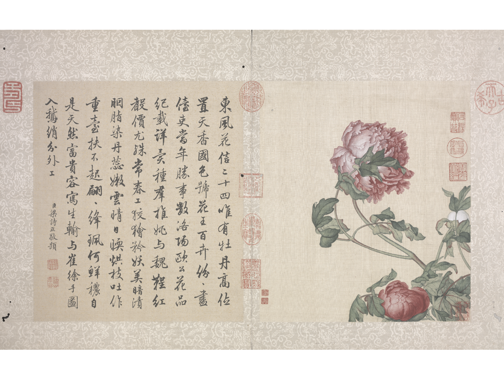 图片[2]-Lang Shining Flowers and Birds Illustrated Books-China Archive